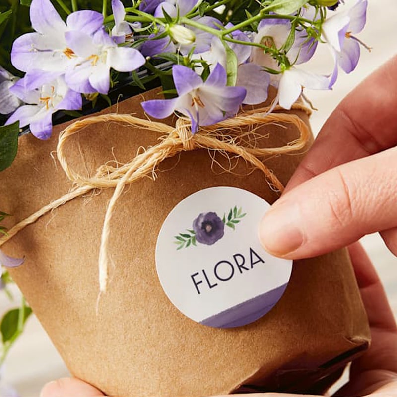 خدمات چاپ لیبل پشت چسبدار در کرمان